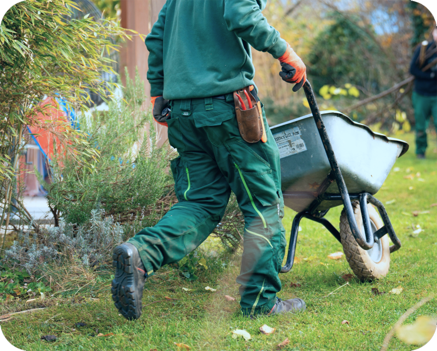 Service Image